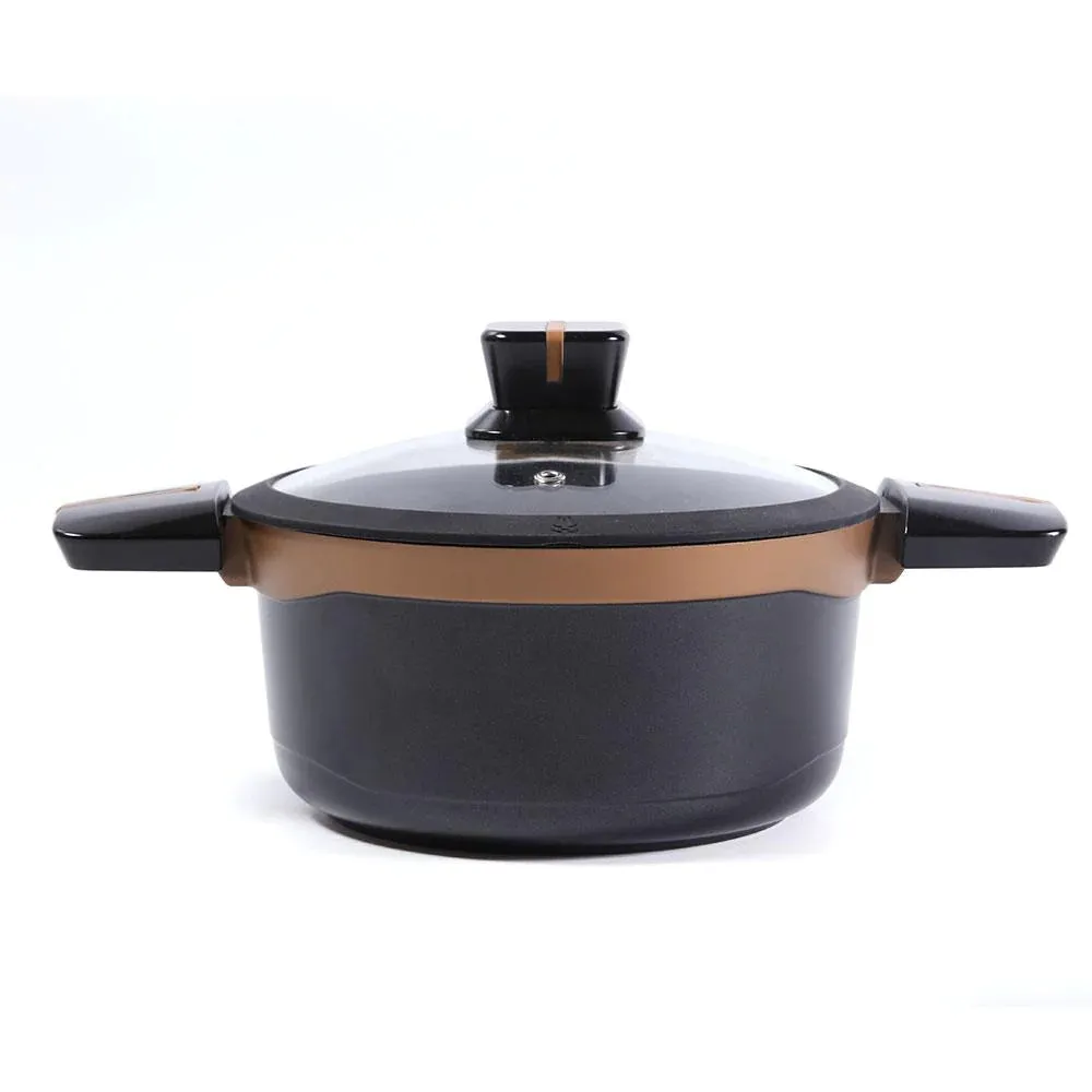 Alpenberg Cooking Pot 20cm