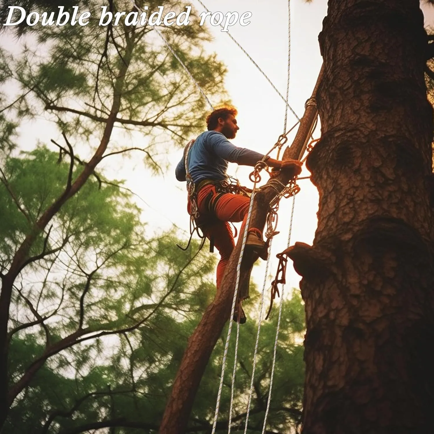Arborist Rope Climbing Rope（1/2 Inch x 150ft） 48 Strands Bull Rope for Construction Climbing Swing Sailing