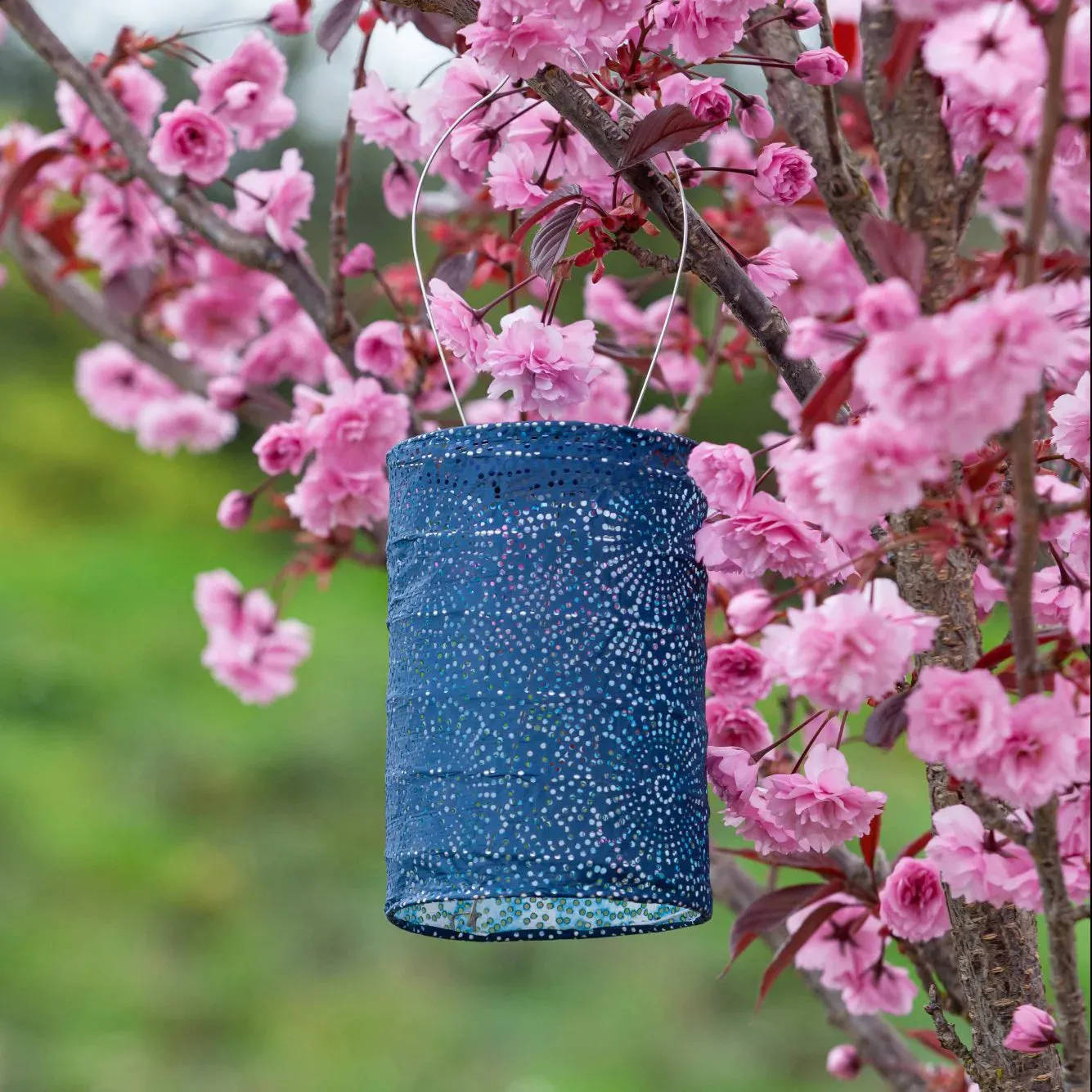 Cylinder Solar Lantern