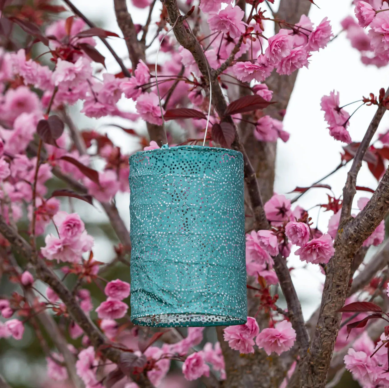 Cylinder Solar Lantern