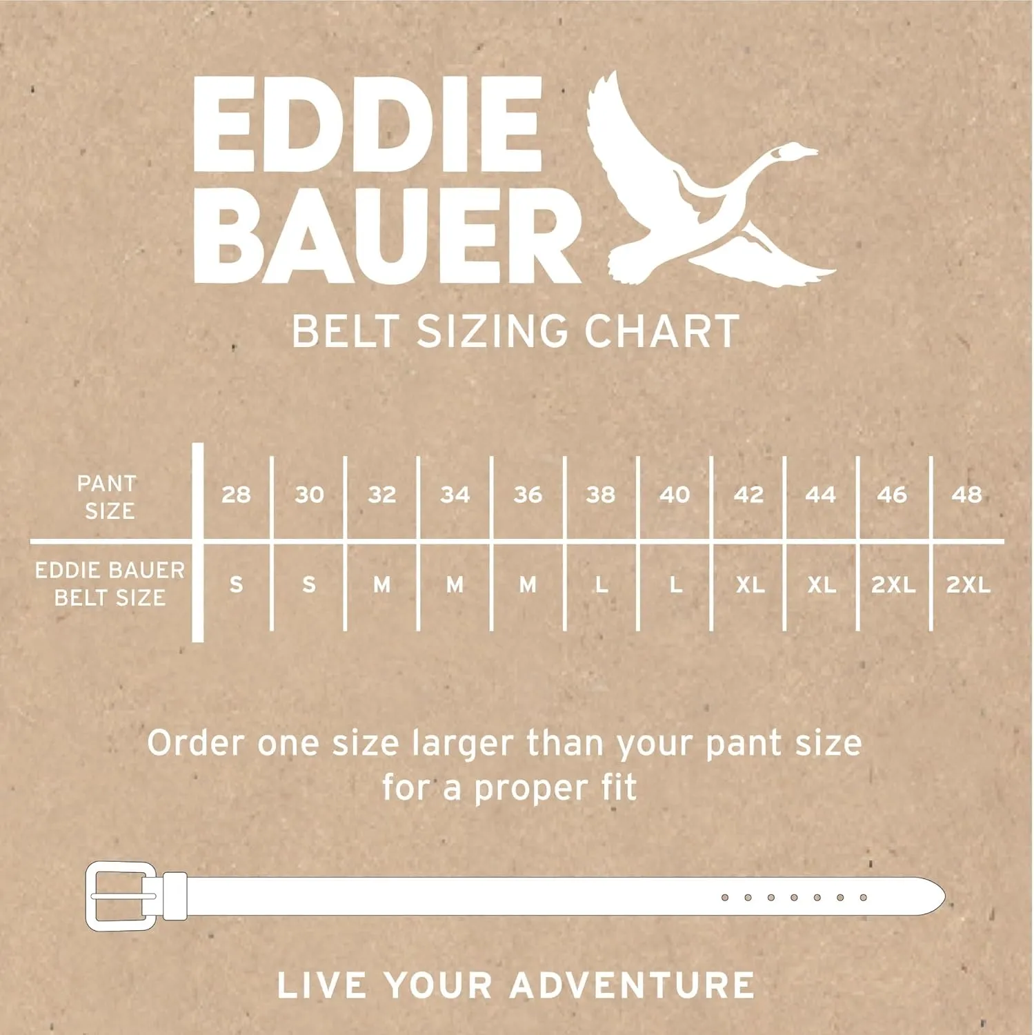 Eddie Bauer Men's Cascade Webbing Belt with Low Profile Adjustable Buckle