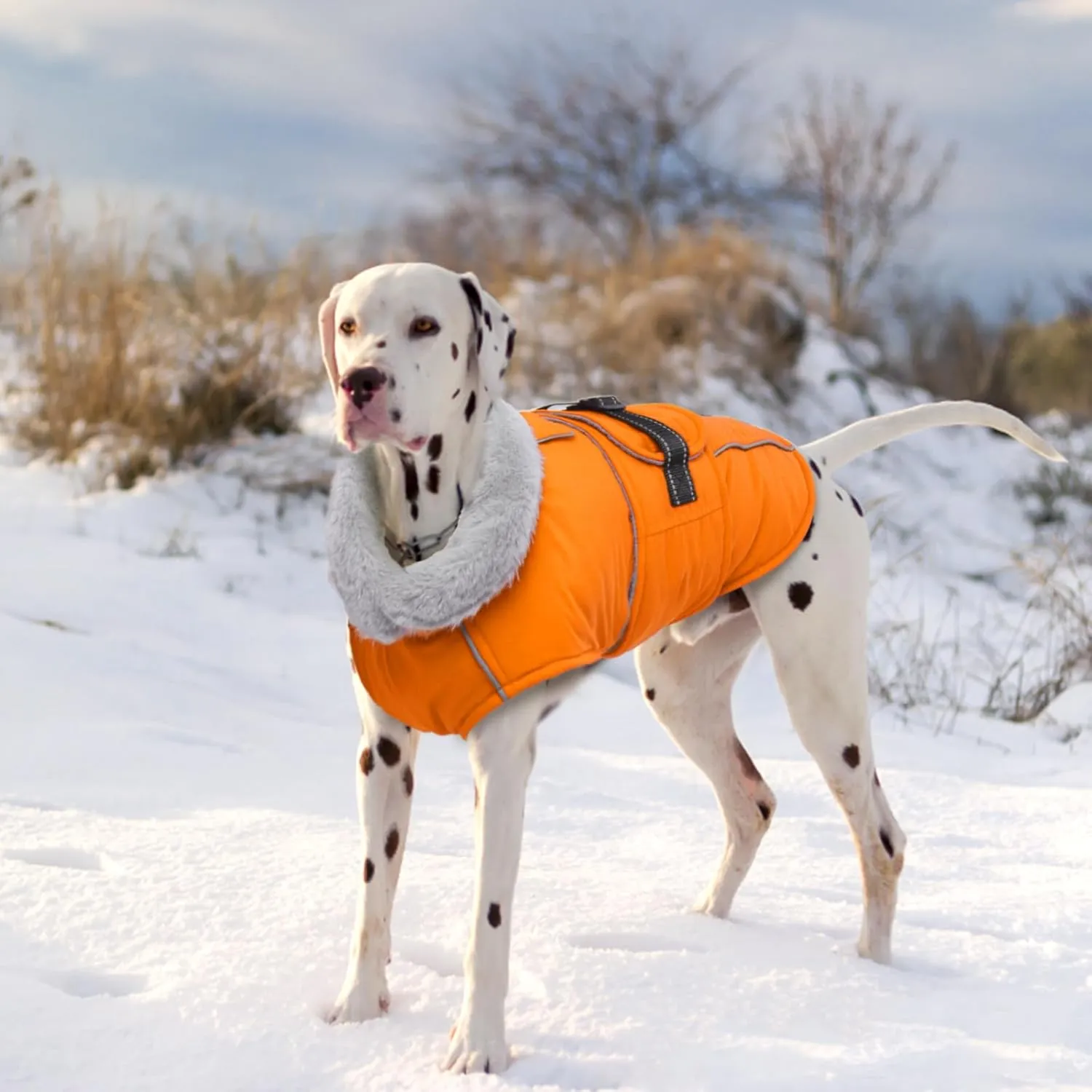 Lelepet Warm Dog Coat Reflective Fleece Vest Waterproof Dog Jacket with Adjustable Buckle Hook & Loop Windproof Cold Weather Coats for Small Medium Large Dogs, Orange, M