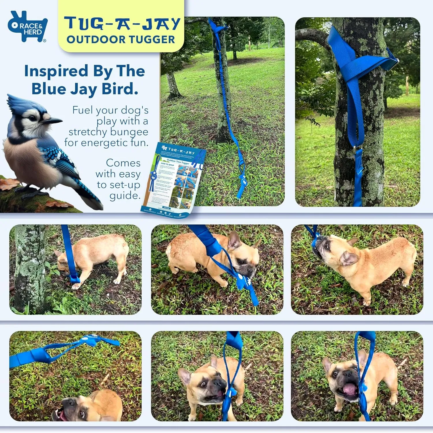 Race&Herd | Tug-A-Jay Outdoor Bungee Rope Toy | Interactive Tree Hanging Exercise Dog Toy for Small to Large Breeds | Durable Tug of War Chew & Tether Play Cord Toys