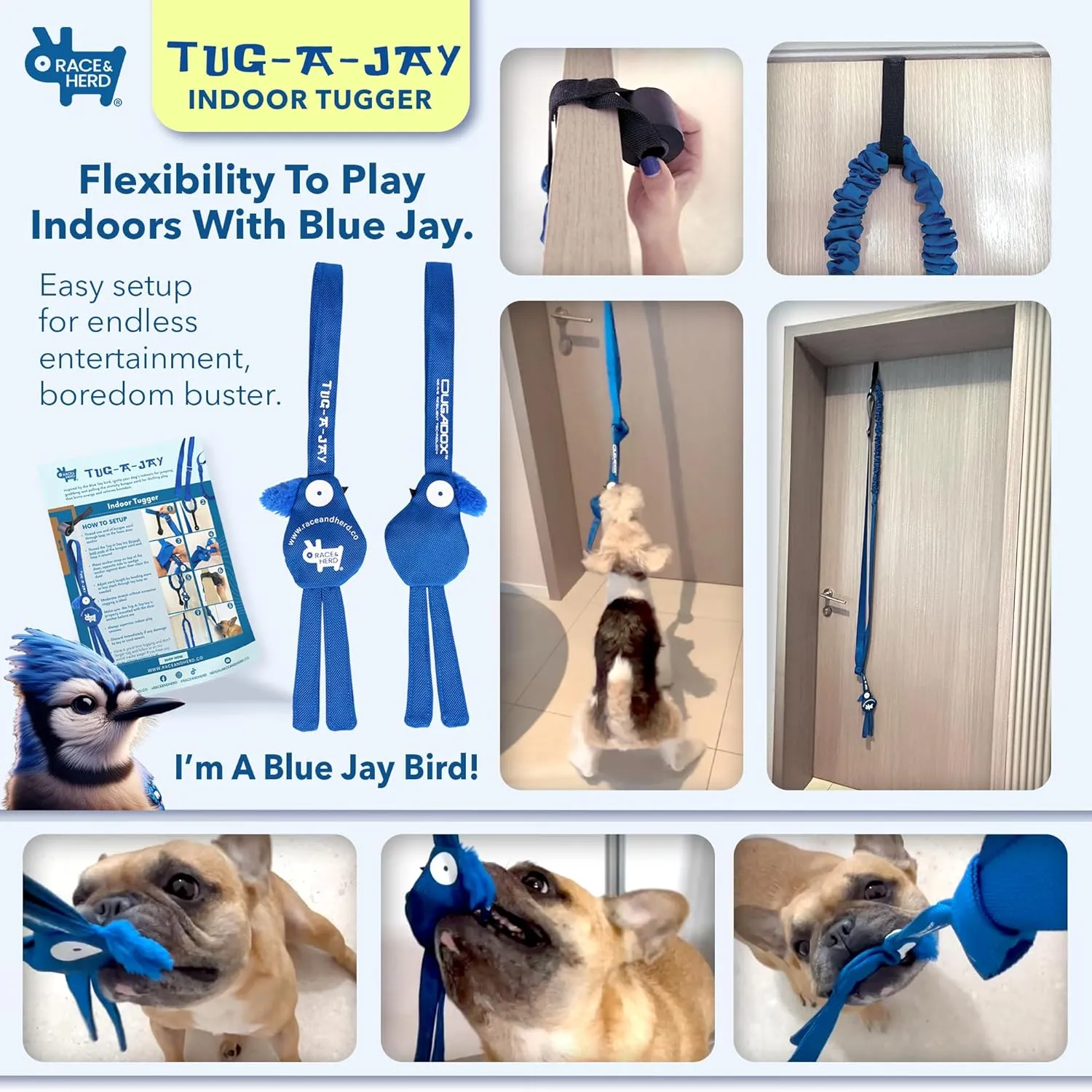 Race&Herd | Tug-A-Jay Outdoor Bungee Rope Toy | Interactive Tree Hanging Exercise Dog Toy for Small to Large Breeds | Durable Tug of War Chew & Tether Play Cord Toys