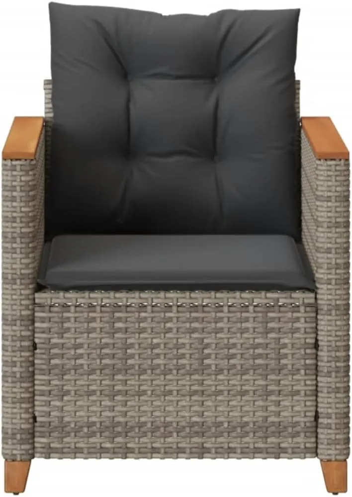 Relaxing Chair Camping Chair Dining Chairs Lawn Chairs - Patio Chair with Cushions Gray Poly Rattan for Park Campsites Terrace Outside