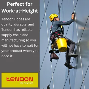 Tendon Static Rope - Excellent Rope with Low Elongation and High Static Strength - UIAA Certified - Great for Securing People or Loads Above Vertical Drops or Any Work at Height - 9mm x 70m, Red